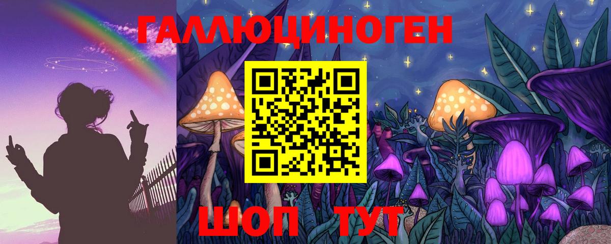 Галлюциногенные грибы GOLDEN TEACHER  Вход с VPN  Санкт-Петербург 